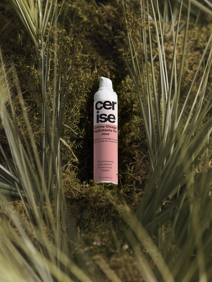 Crème Jour Hydratante — 50ml